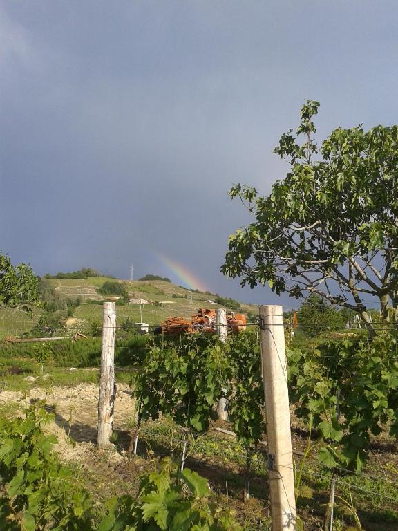 Agriturismo Ai Piacentini Санто-Стефано-Бельбо Екстер'єр фото